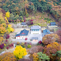 두타모종