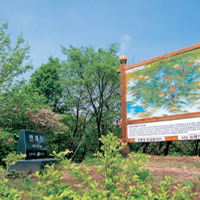 만뢰산