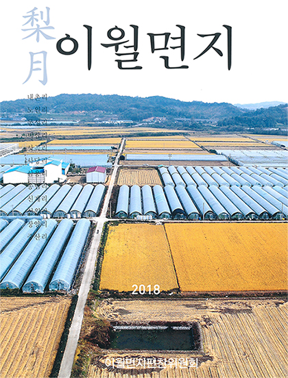 이월면지 표지
