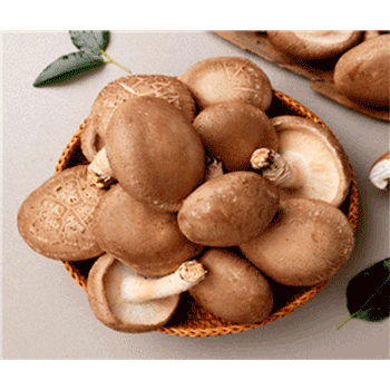표고버섯(1kg / 2kg)