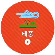 태풍