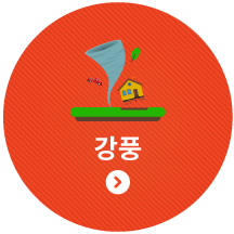 강풍