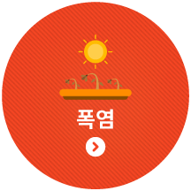 폭염