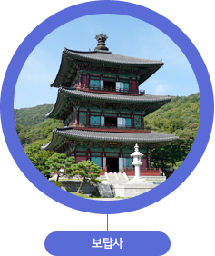 보탑사
