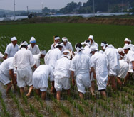 지방지정문화재