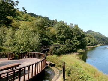 Cholong-gil
